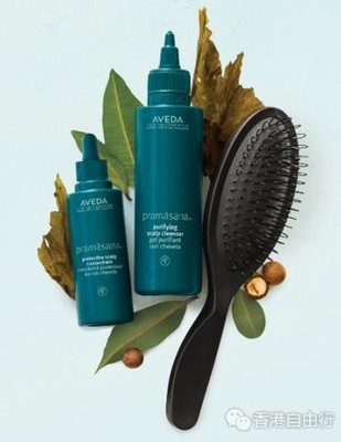 香港購(gòu)物指南 頭發(fā)油膩問題解決方案與深層清潔產(chǎn)品推薦（附本地報(bào)價(jià)）